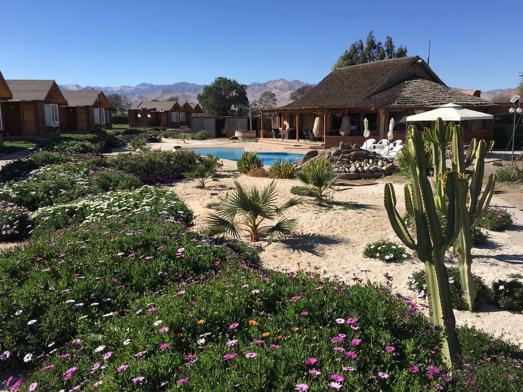 Hotel El Bramador Copiapó Zewnętrze zdjęcie